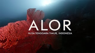 Best of Scuba Diving Alor aboard the Indo Siren
