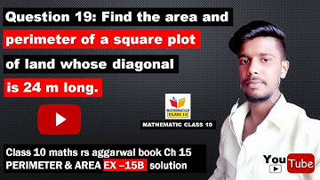 Find the area and perimeter of a square plot of land whose diagonal is 24 m long.