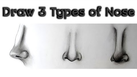 3 Easy Ways To Draw Nose /How To Draw Nose for Beginners