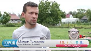 Собака загрызла ребенка 21.07.16(, 2016-07-21T19:39:14.000Z)