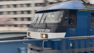 【4K高画質】【後ろ５両オールコキ110形✨】JR貨物EF210形300番台334号機（阪神ナンバー）＋コキ21両が戸塚駅を高速通過するシーン（71レ・吹A227・コンテナ輸送）2025.4.13