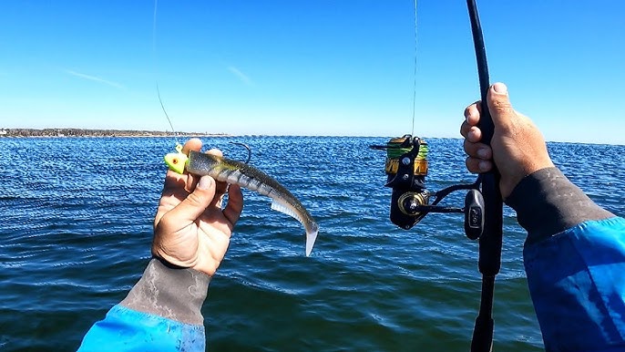 Capt. Mike Roy Talks Soft Plastics for Spring Stripers 