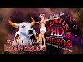 Isabelle Nogueira em HD / Rainha do Folclore do Boi Garantido (Parintins HD® Vídeos)