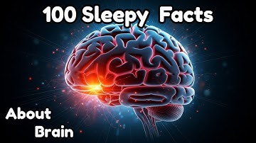 The Most Relaxing Facts About Dreams and the Sleeping Brain