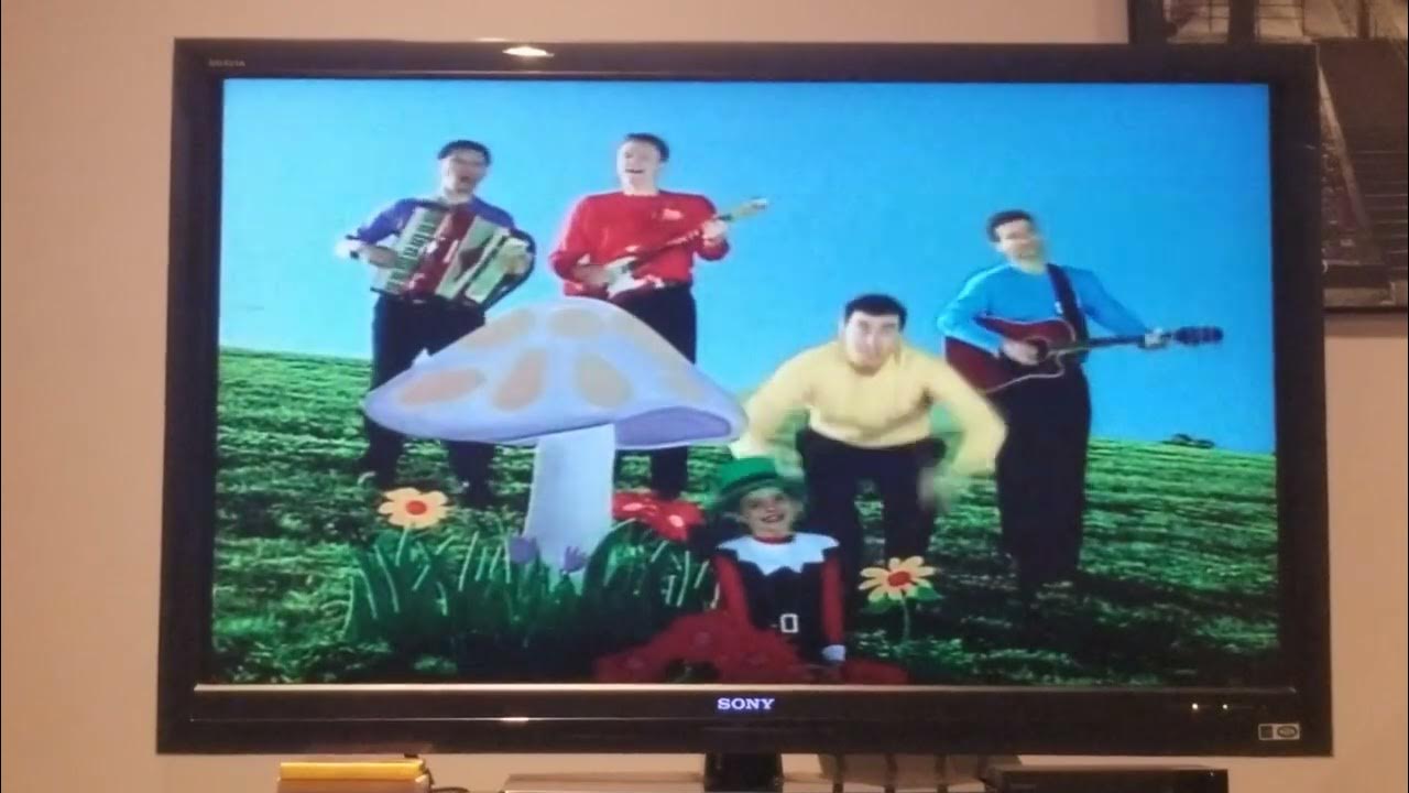 The Wiggles Head Shoulders Knees and Toes Song YouTube