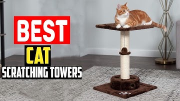 ✅Top 5 Best Cat Scratching Towers in 2025