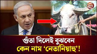 কোরবানির জন্য প্রস্তুত সেই বদমেজাজি নেতানিয়াহু! | Narayanganj | Netanyahu | Buffalo | Channel 24
