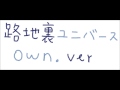 【歌ってみた】 路地裏ユニバース 【own .ver】