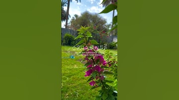 ألم نشرح لك صدرك || سورة الشرح كاملة فارس عباد