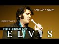 ✅[DEEPFAKE] Elvis Singing ´´ANY DAY NOW`` #deepfake #elvis