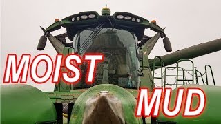 STUCK! in the MUD | HARVEST 19 Day 20