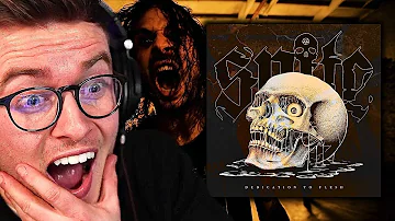 This Should Be Illegal | Spite - Dedication To Flesh | Album Reaction! (Highlights)