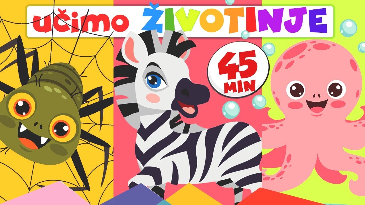 Učimo Životinje MIX 45 Min 🎴🎵 Edukativne Flash Kartice i Pjesmice za Djecu na Hrvatskom ✔ 2-7 Godina