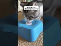 👅ペットが器をゆっくりなめてくれます なめる → 水が出ます • ゆっくり流れます • 窒息感がありません こぼれ防止 • 200ml • 食品級ポリプロピレンです 安全に飲んで下さい 清潔にして下