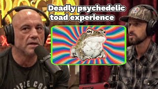 Famous joe rogan x python cowboy | i have had my deadliest psychedelic experience on those toads. Net Worth