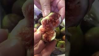 Delicious fresh fig fruityummydeliciousviralvideoshortsvideoyoutubeshorts