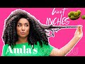 Amla = Inches and Thickness