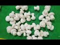 Mushroom are ready for harvesting,washing,Packing and marketing of mushroom complete video🍄🍄🍄🍄🍄🍄🍄