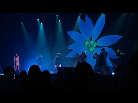 李宣美선미台大演唱會2