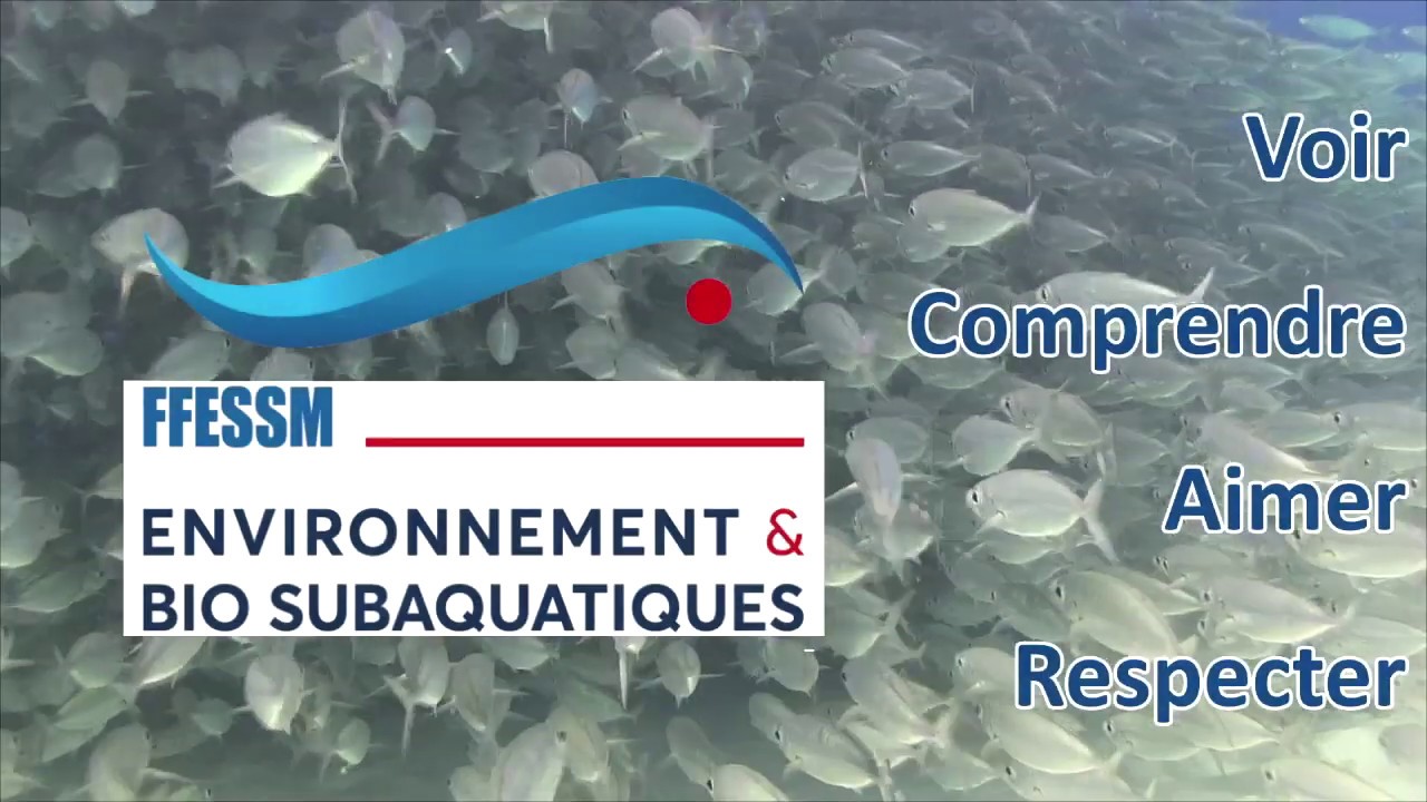 Ffessm Signes Bio Cursus fédéral EN BIOLOGIE SUBAQUATIQUE - cnebs - ffessm