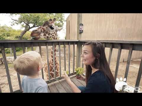 Sedgwick County Zoo | Mother's Day Promotion | Wichita KS