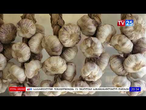 ხულოელი ფერმერები წელს ნიორს ვერ დათესავენ