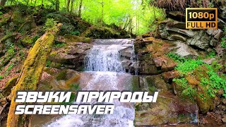 Живая природа - Водопад | Река | Звуки природы | Шум водопада | Звуки воды | Релаксация | Антистресс