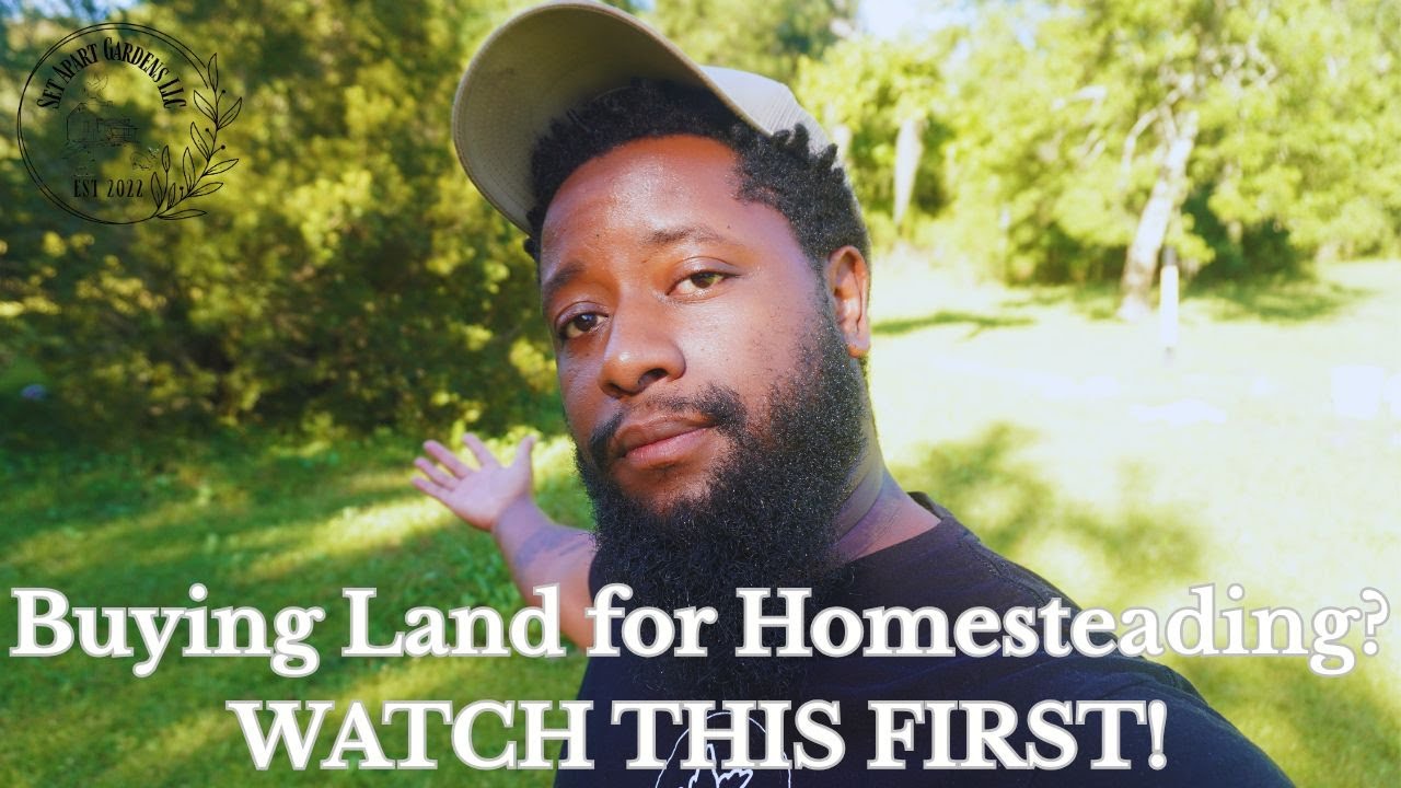Things to Consider When Buying Land for Homesteading | Beginner’s Guide ...
