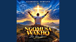 Ngisebenzel' Izulu