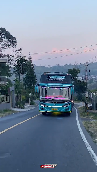 Basuri pokoke joget ala Alfayed Destroyer #busmania #davmusicalairhorn #basuri #fyp