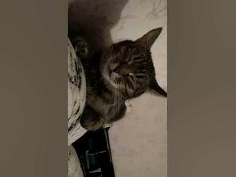 Дережабль АГА!! - YouTube