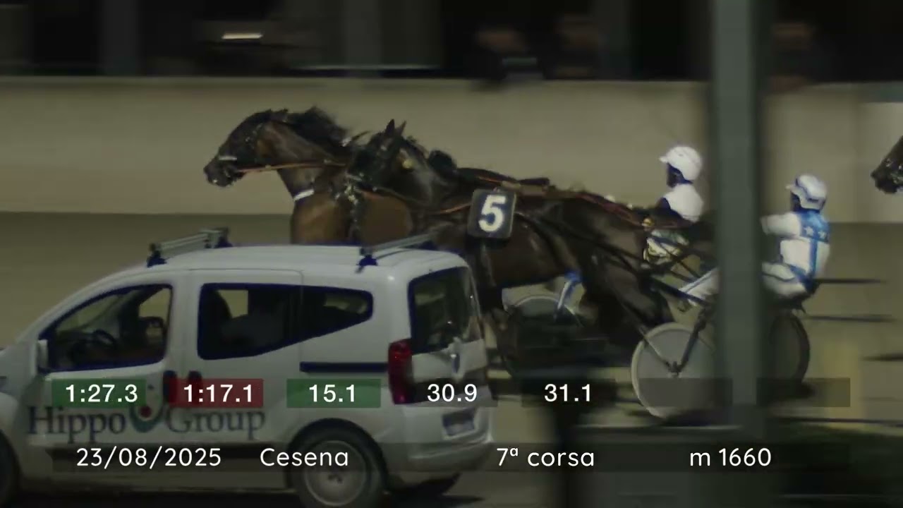 2025 08 23 | Corsa 7 | Metri 1660 | Premio Umbria-Romagna