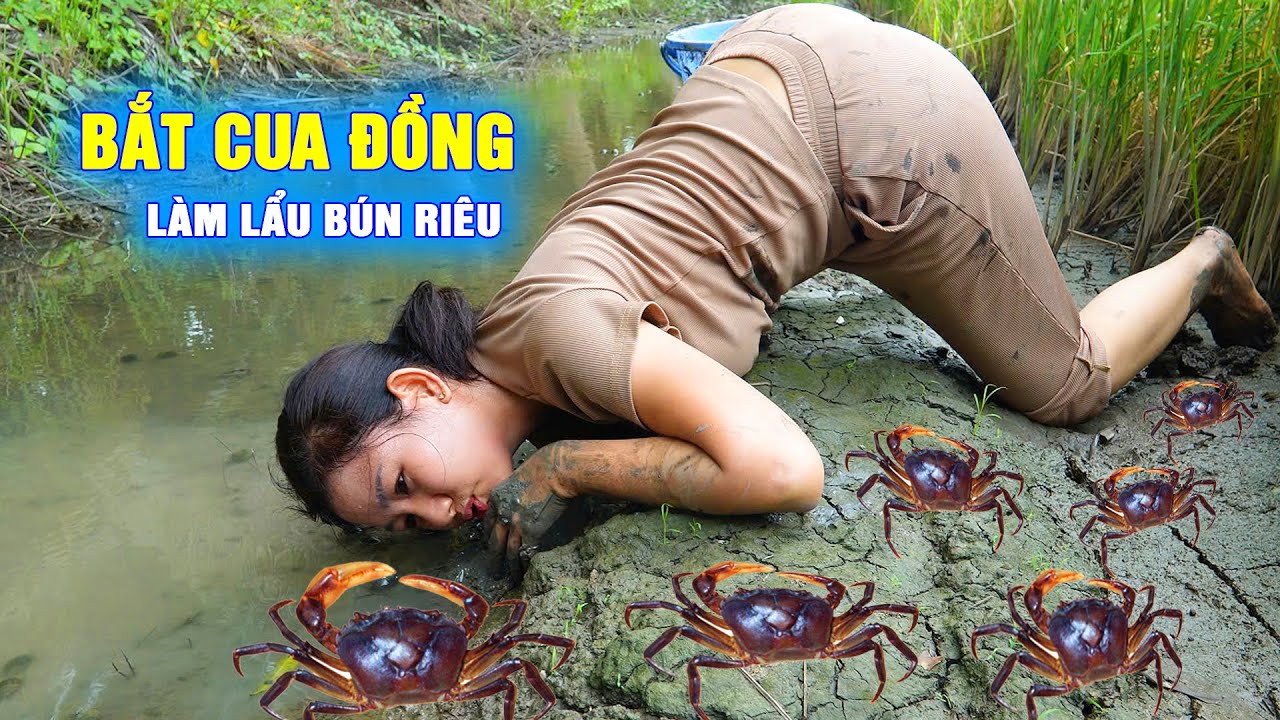 🔴 Nấu Bún Riêu Cua Đồng Với My Đào Ăn Mừng Tìm Lại Được Fly Cam | Cẩm Hằng