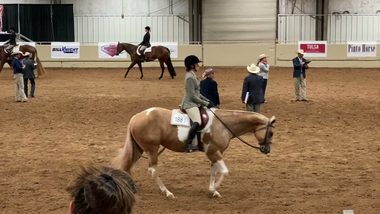 Disciplined Rail 2021 World Pinto Show 3rd place YouTube