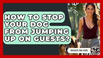 How To Stop Your Dog From Jumping Up On Guests? - Obedient Dog Guide