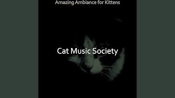 Pulsating Backdrops for Cats