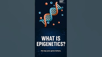 Hidden Switch To Reverse Aging - Epigenetics