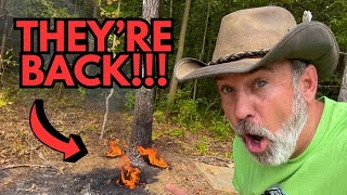 They're Back For The ATTACK! | Let's FINISH Them | Special Feature Ending | Rambling
