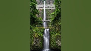 تلاوة رائعة للقارئ ياسر الدوسري #قرآن #راحة_نفسية #قران_كريم #اكسبلور #حالات #فكرة_بخطوة