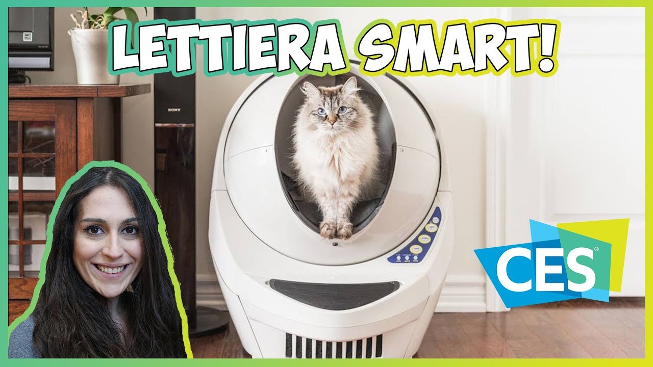 Litter Robot La Lettiera Smart Per Gatti Ces 2018 Youtube
