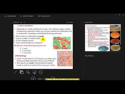 lec 7 GRAM NEGATIVE RODS salmonella shigella and proteus