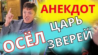 Осёл ЦАРЬ ЗВЕРЕЙ !!! Анекдот от Баклажна