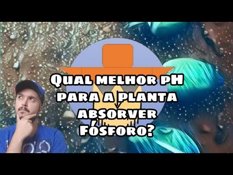 Vídeo: Qual é o pH do solo salino?