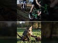 Trending Funny Cat Activaty#aianimation #trending #fynnymemes #trendingvideo