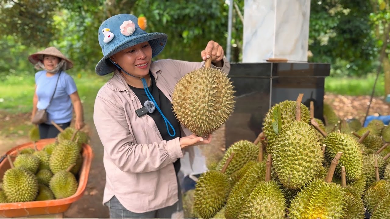 KẾT QUẢ GIẢI CỨU VƯỜN SẦU RIÊNG CHÍN CÂY/TEST GIỐNG SẦU RIÊNG CHÁO 😂