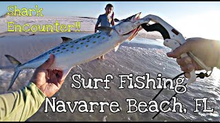 Surf Fishing Navarre Beach, FL - Shark Encounter!!! (Mackerel, Blue Fish, and Lady Fish)