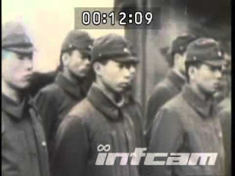 01201586.神風特別攻撃隊(infcam)