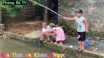 Câu cá mùa thu. Câu rô phi giật cháy lông nách. Quấn ổ