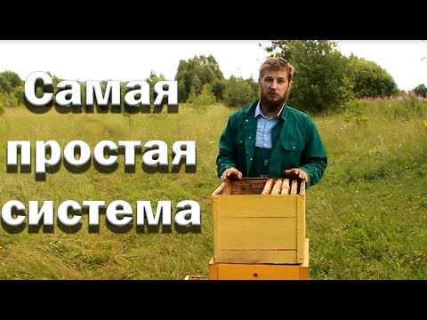 Видео: Шкала на шкафа