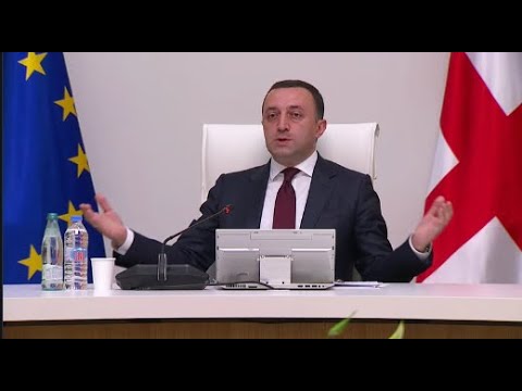 \"ევროპარლამენტის რეზოლუციას მე ვაპროტესტებ - აკლდა მეგის ქარდავა,  მთვარი ჯალათი, სააკაშვილის სახე\"